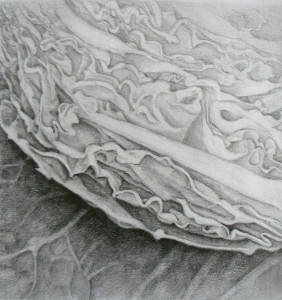 p1180828